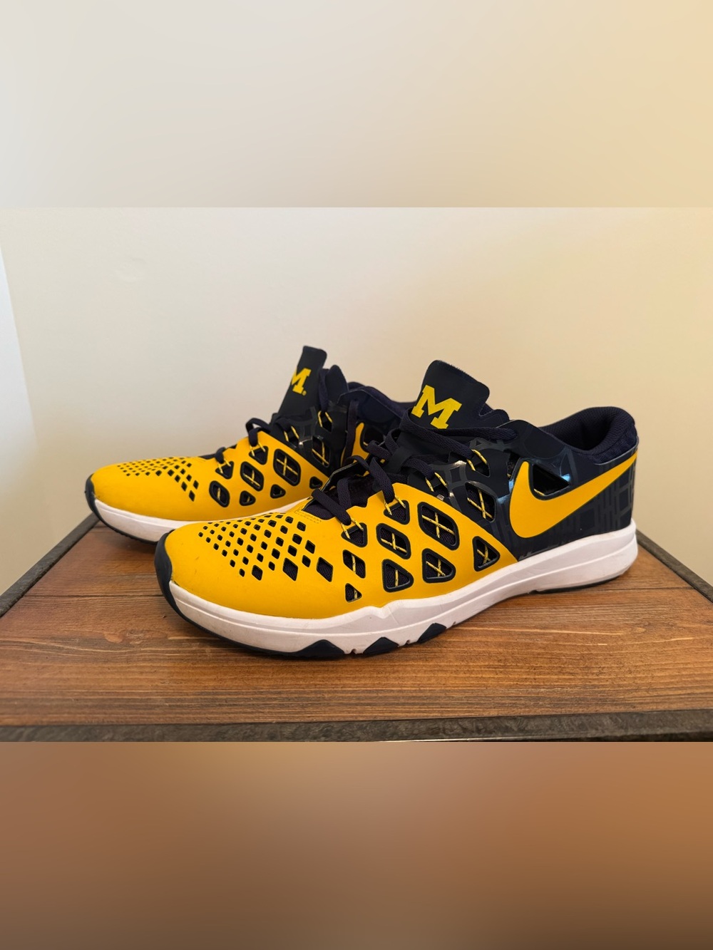 Nike Mens University Michigan Sneakers